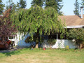 A Tour of a Frugal Home