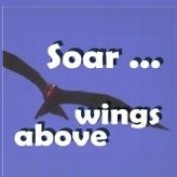 Wingswriter profile image