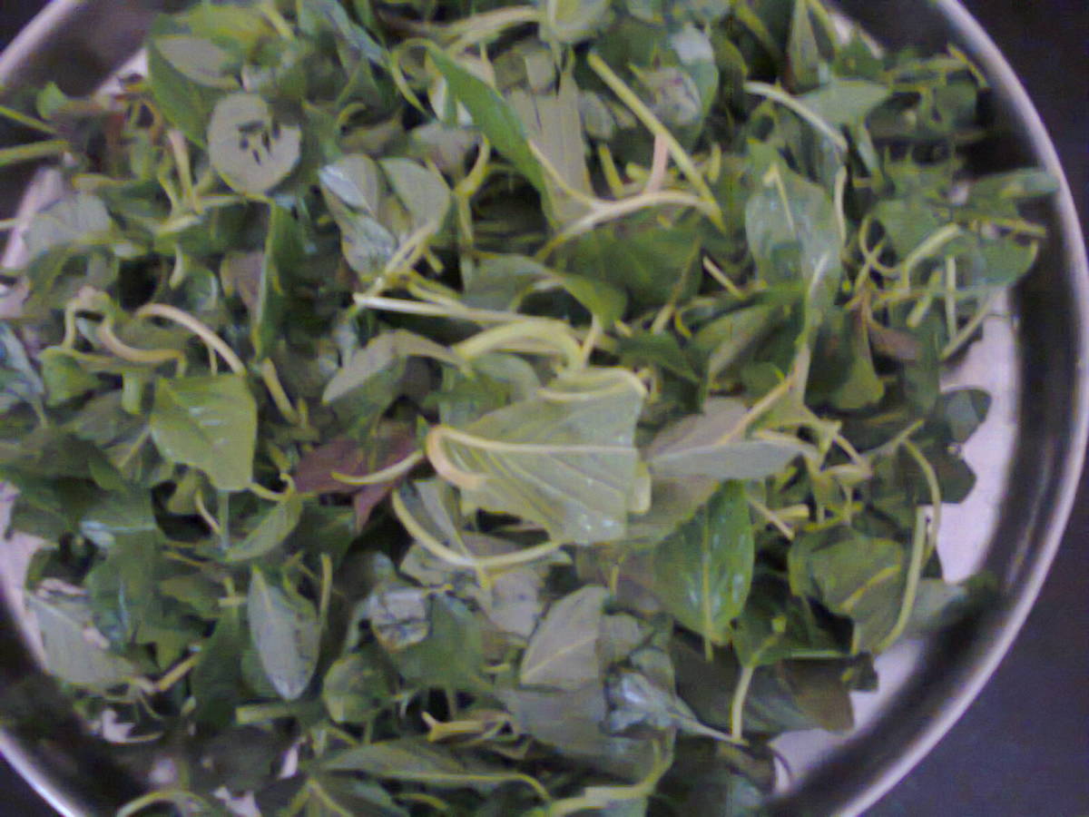spinach cut into pieces