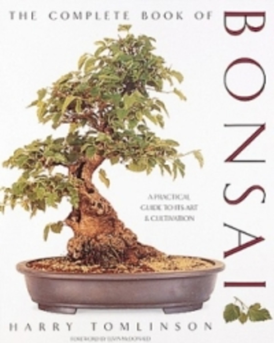 Three Great Bonsai Books For Your Level Of Experience