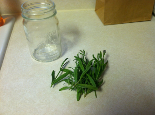 May 17: Lavender ready to be cut.