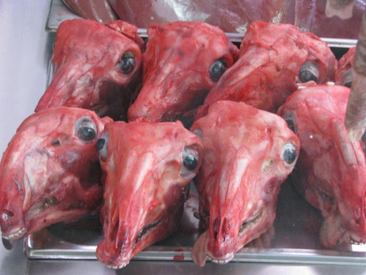 Goat head before cooking. A nice delicacy