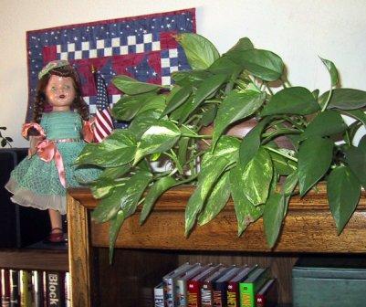 The doll was rescued and restored by My Aunt Orphie