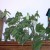 You can put hydro plants almost anywhere, because you don't have to get at them a lot! You can put hydro plants almost anywhere, because you don't have to get at them a lot!