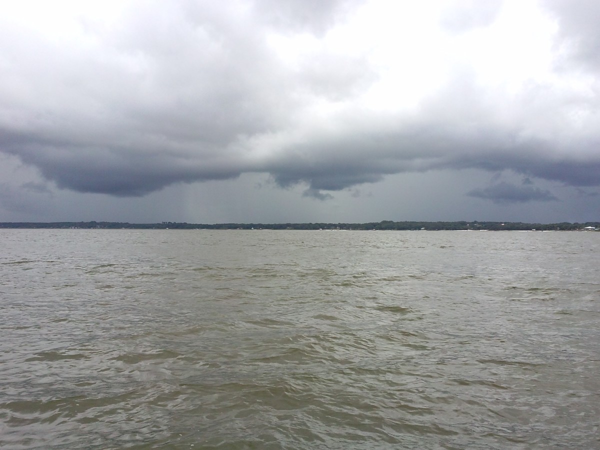 This picture was taken from a boat on Lake Weir headed back to Carney Island Boat Ramp.