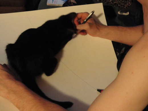 my cat, rest her little soul, always ready to try to eat my pencil or swat my paper while I try and work through a problem