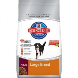 The Best Five Brands Of Dog Food
