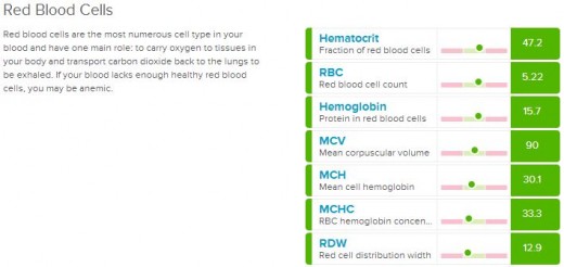 This is a screen shot of my own blood panel. As you can see, WellnessFX presents the information in an attractive layout balancing well the technical jargon with lay terms of importance. 