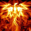 phoenix1614 profile image