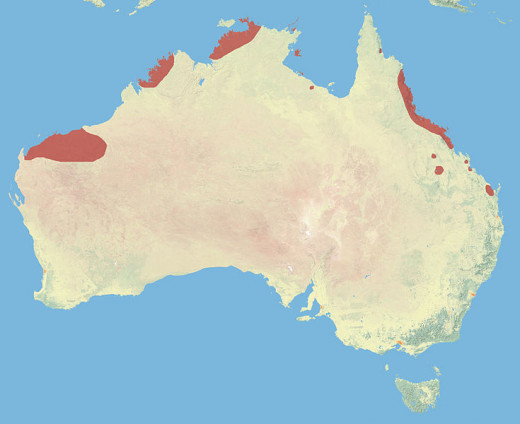 Northern Quoll Distribution in Australia