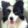 Dennismiles1 profile image