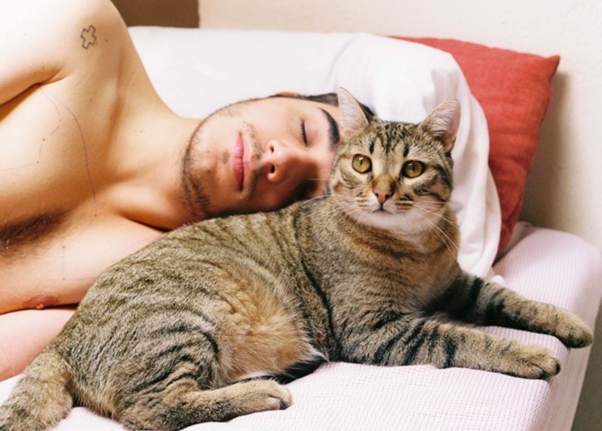Some men prefer their cats.  Cats are independent and affectionate.