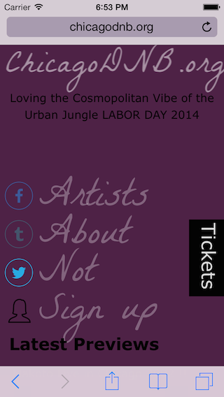 chicagodnb.org - this festival is for style, class, and a royal, confident attitude.