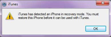iPhone in recovery mode detected