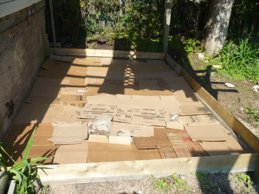 Cover the entire bottom of the garden with cardboard.