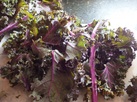Lovely kale!