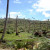 La déforestation. La déforestation.
