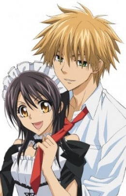 romance anime like maid sama