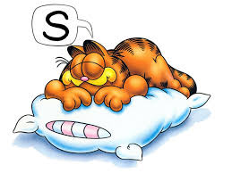 Sleeping enough adds onto your lifespan