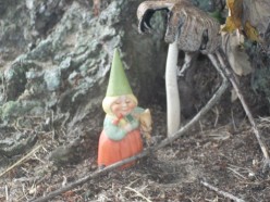 What Do Fairies Look Like?