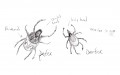 Tricks to Keep the Ticks Away.
