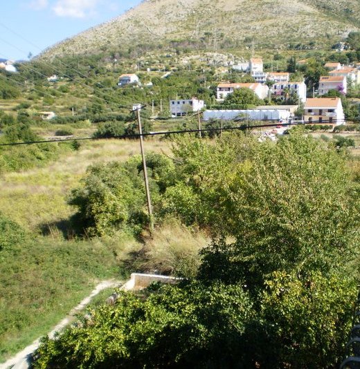 A view of the village