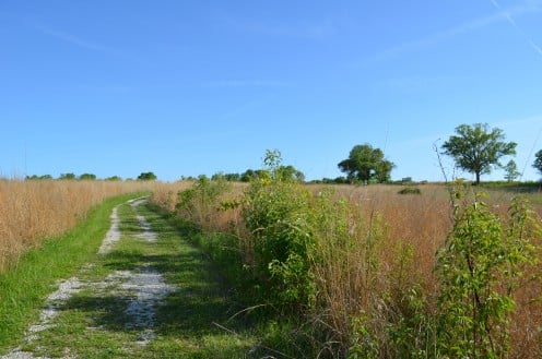 One of the more open areas, resembling the many prairies that were in such a large part of Missouri .  Many are working to restore a lot to Missouri's native landscape, etc. 