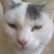 Sotiris profile image