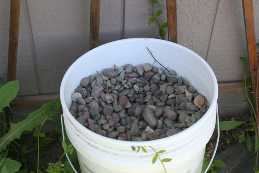 These pebbles were plucked from an overgrown corner of our yard.