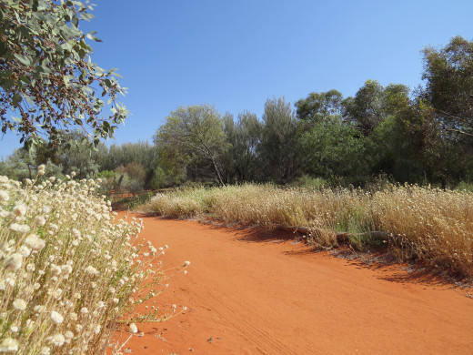 Wouldn't it be cool if your treasure hunt was in a backyard that looked like this? - Photo that I took of Alice Springs Desert Park, NT, Australia