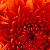 rajaimtiaz profile image