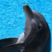 jcknowles profile image