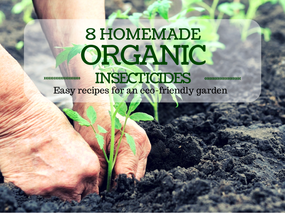 8 Recipes For Homemade Organic Insecticides Hubpages