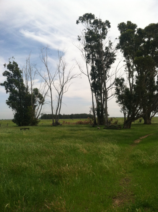 Open fields and a hint of the beauty that awaits.