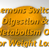 The Benefits of Ginger and Lemon Tea for Weight Loss