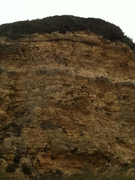 The strata in this picture is fairly flat. It is still in even line that tell us that this section of the face remains fairly untouched by geologic process. There is always erosion, but nothing has caused this section of earth to move. 