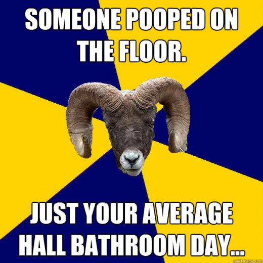 Meme that reads: "Someone pooped on the floor. Just your average hall bathroom day."