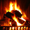 Toasty Reviews profile image