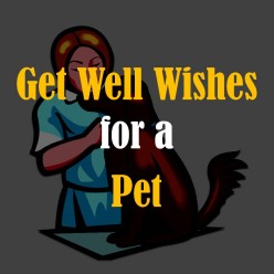 Get Well Wishes for a Pet: What to Write in a Card