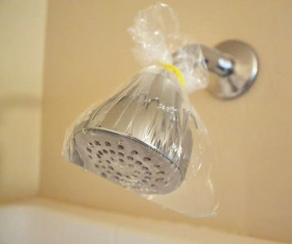How to Clean or Replace Your Shower Head | Dengarden