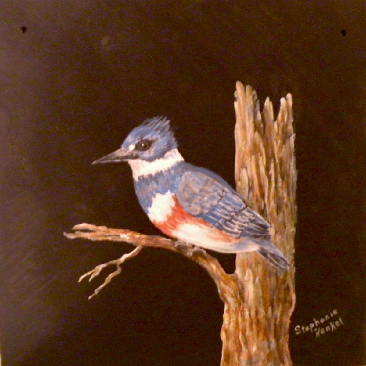 My painting of a Kingfisher on slate was a gift to my niece. It may become one of her family heirlooms. 