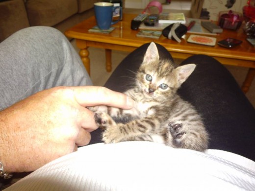 Jess so sweet and has already found her own special place in our hearts.