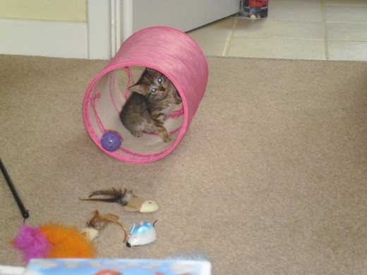 Jess playing in the tunnel