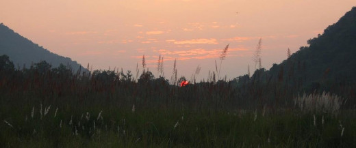 Sunset at Tiger Reserve