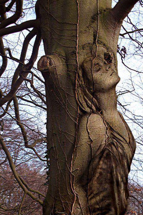 in echoing silence