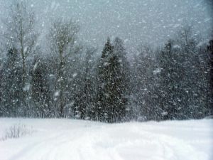 A snowstorm during winter or spring
