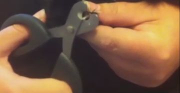 Be sure to see the claw and the claw bed clearly before clipping.