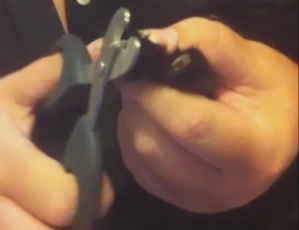 With you index finger under the paw and thumb on top apply slight pressure and your cat will expose its claws.