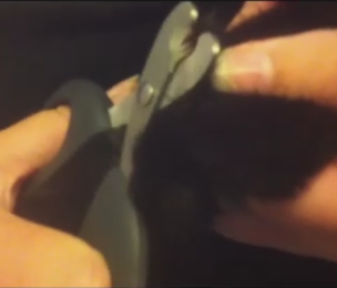 With the cat's leg lying in the palm of your hand use your thumb and index finger to secure the dewclaw.