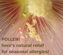 A Natural Approach to Seasonal Allergy Relief